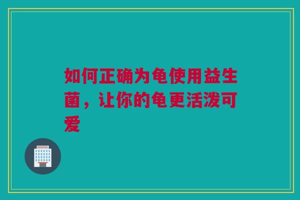 如何正确为龟使用益生菌，让你的龟更活泼可爱