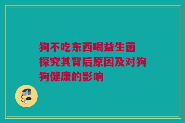 狗不吃东西喝益生菌 探究其背后原因及对狗狗健康的影响