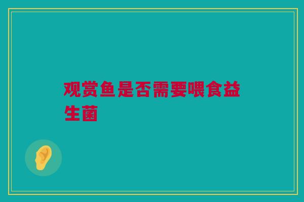 观赏鱼是否需要喂食益生菌