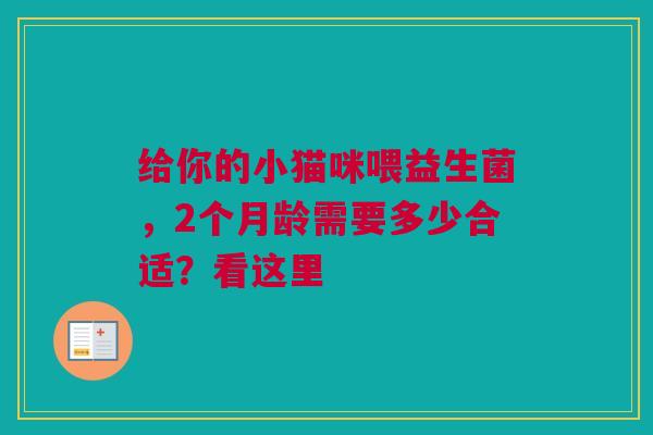 给你的小猫咪喂益生菌，2个月龄需要多少合适？看这里