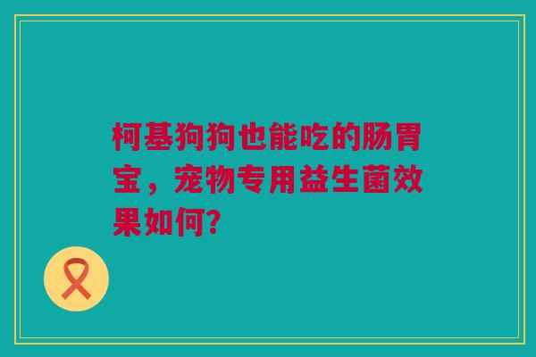 柯基狗狗也能吃的肠胃宝，宠物专用益生菌效果如何？
