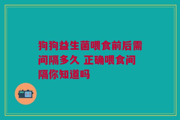 狗狗益生菌喂食前后需间隔多久 正确喂食间隔你知道吗