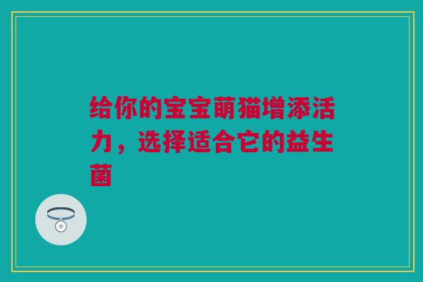 给你的宝宝萌猫增添活力，选择适合它的益生菌