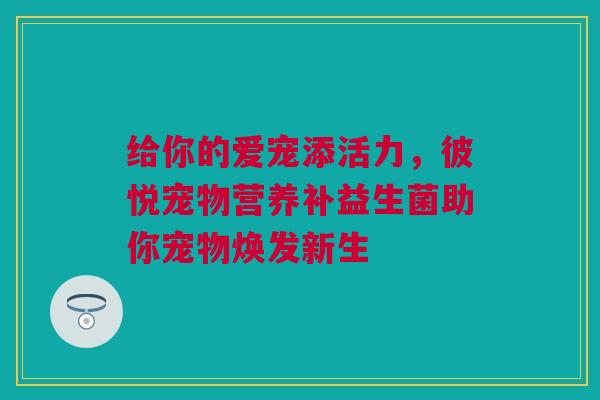 给你的爱宠添活力，彼悦宠物营养补益生菌助你宠物焕发新生