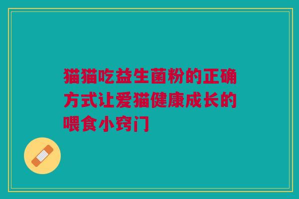 猫猫吃益生菌粉的正确方式让爱猫健康成长的喂食小窍门