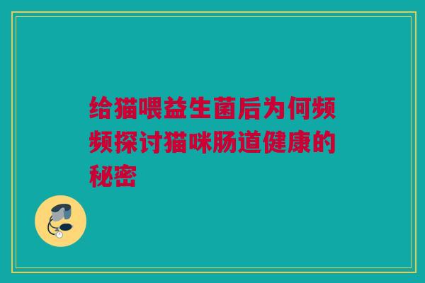 给猫喂益生菌后为何频频探讨猫咪肠道健康的秘密