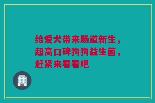 给爱犬带来肠道新生，超高口碑狗狗益生菌，赶紧来看看吧
