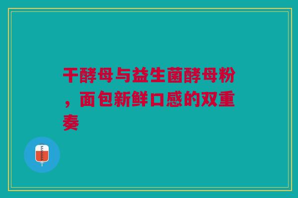 干酵母与益生菌酵母粉，面包新鲜口感的双重奏