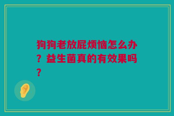 狗狗老放屁烦恼怎么办？益生菌真的有效果吗？