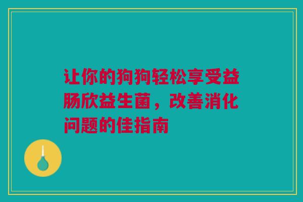 让你的狗狗轻松享受益肠欣益生菌，改善消化问题的佳指南