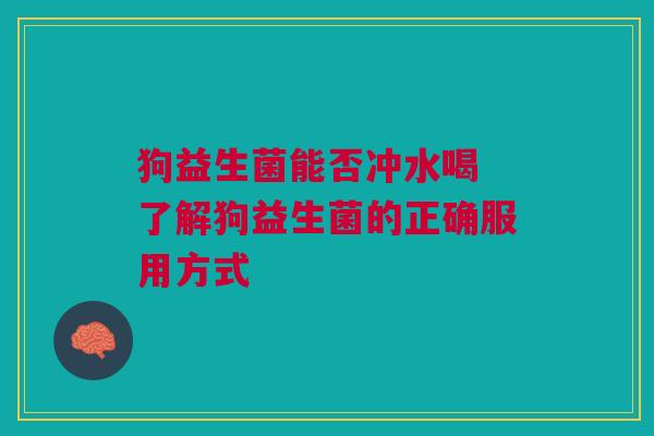 狗益生菌能否冲水喝 了解狗益生菌的正确服用方式