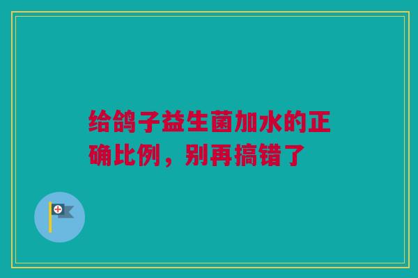 给鸽子益生菌加水的正确比例，别再搞错了