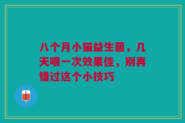 八个月小猫益生菌，几天喂一次效果佳，别再错过这个小技巧