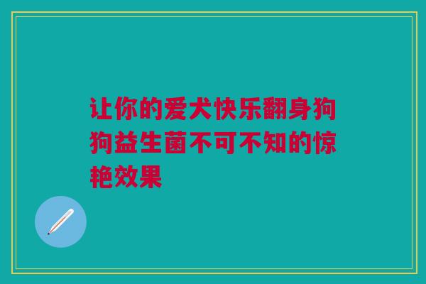 让你的爱犬快乐翻身狗狗益生菌不可不知的惊艳效果