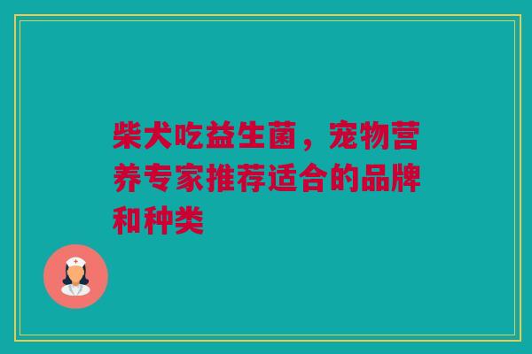 柴犬吃益生菌，宠物营养专家推荐适合的品牌和种类