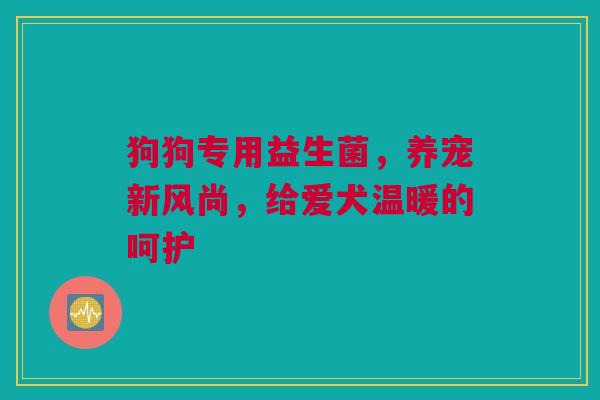 狗狗专用益生菌，养宠新风尚，给爱犬温暖的呵护
