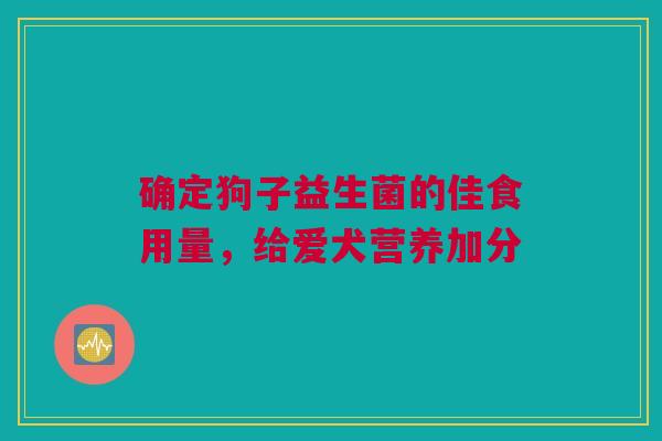 确定狗子益生菌的佳食用量，给爱犬营养加分