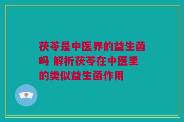 茯苓是中医界的益生菌吗 解析茯苓在中医里的类似益生菌作用
