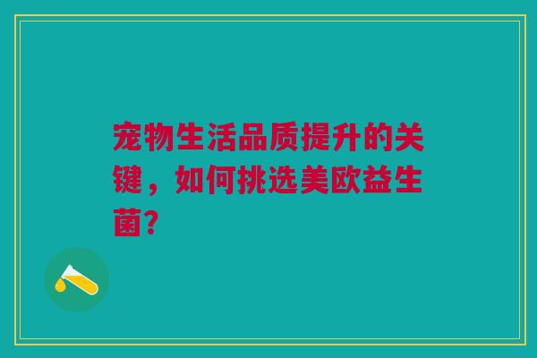 宠物生活品质提升的关键，如何挑选美欧益生菌？