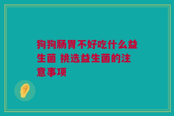 狗狗肠胃不好吃什么益生菌 挑选益生菌的注意事项
