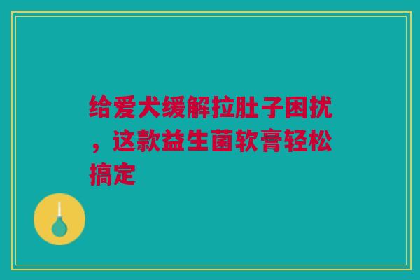 给爱犬缓解拉肚子困扰，这款益生菌软膏轻松搞定
